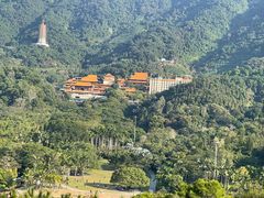 -深圳仙湖植物园