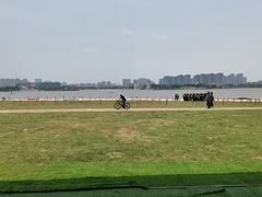 -九龙湖公园