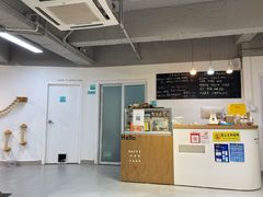 -Heymao猫咖.咖啡厅(东门店)