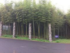 -天下银坑
