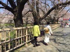 -名古屋城
