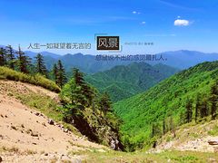 -秦岭风景区