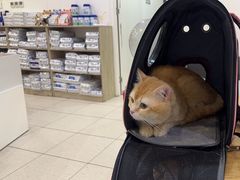 -萌兽医馆·眼科·异宠专科(三里屯店)