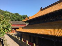 -普陀山风景名胜区-法雨禅寺