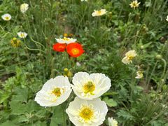 -国家植物园南园