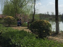 -白鹭湾湿地公园