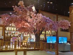 -大江户·温泉洗浴(浑南店)