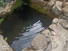 -寂照庵