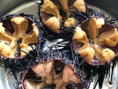 -大连熟食品交易中心