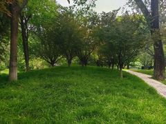 -丰台花园