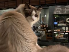 -咖法森林·咖啡  酒吧(天河店)