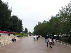 -宝安西湾红树林湿地公园