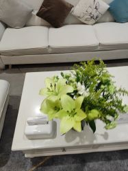 -HEYAN荷妍专业脱毛连锁机构
