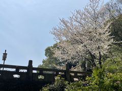 -苏州上方山国家森林公园