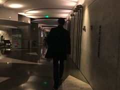 -百美汇影城(LUXE嘉里中心店)