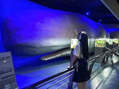-重庆欢乐海底世界