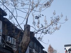 -山塘街