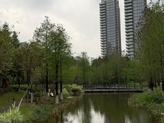 -映月湖公园