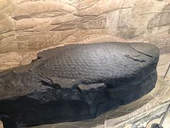 -白鹤梁水下博物馆