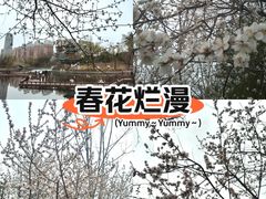 -迎泽公园