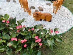 -晓港公园