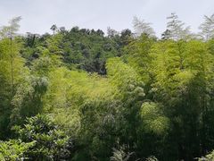 -巢湖姥山岛