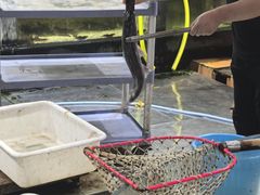 -渔乐里(智荟城店)