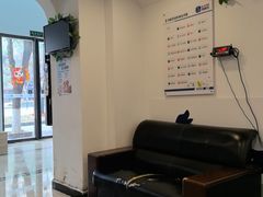 -宠颐生汉谟拉比宠物医院