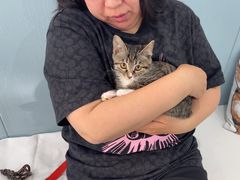 -纳吉亚猫专科动物诊疗中心(蒋宅口分院)