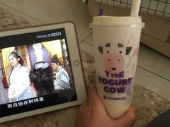 -一只酸奶牛(曲江龙湖星悦荟店)