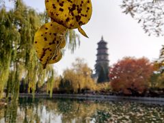 -晋祠公园