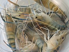 -粮心小农·大头虾亲子生态园(长发店)