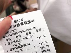 -申普宠物医院·心脏介入·心血管微创(总院)