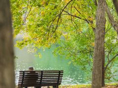 -上海共青森林公园