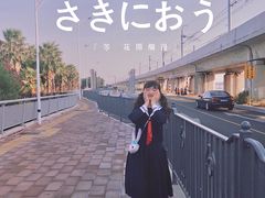 -海堤纪念公园