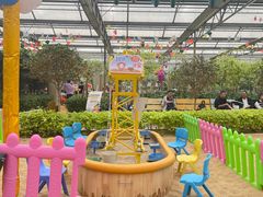 -南宫五洲植物乐园