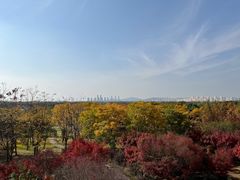 -贡湖湾湿地公园