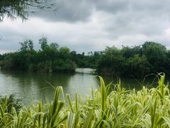 -白鹭湾湿地公园