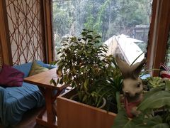 -谷咖啡·鲜花绿植花园餐厅