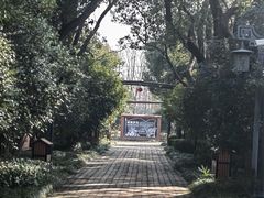 -上海长兴岛郊野公园