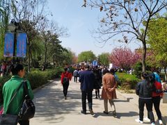 -西安青龙寺遗址景区