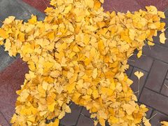 -成都中医药大学(温江校区)