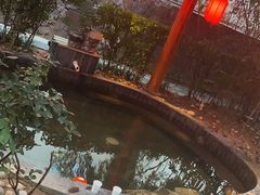 -西安国际创新人才交流中心•药浴温泉