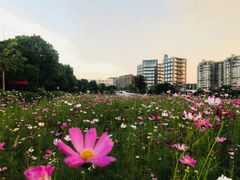 -南京航空航天大学(将军路校区)