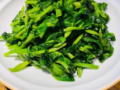 清炒豌豆尖-一轩饺子馆(丽都店)