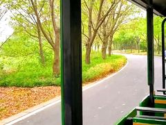 -同里国家湿地公园