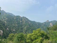 -大岭沟猕猴桃谷风景区