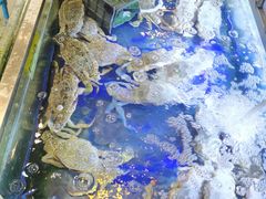 -两兄弟Song Pee Nong(2号店)