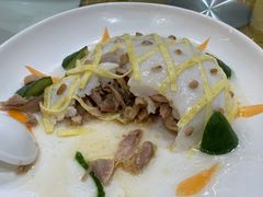 -丁老爷子苏香圆