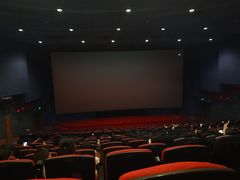 -飞扬影城(正佳IMAX店)